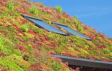 Lockerbie living roof systems